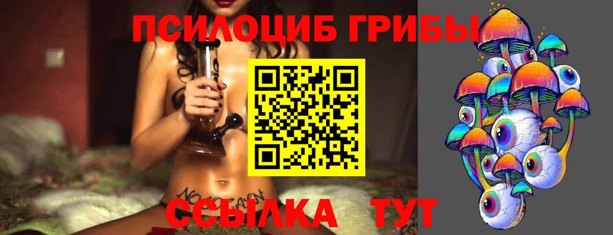 Елабуга  Галлюциногенные грибы GOLDEN TEACHER  Вход с VPN 